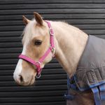 Pony Luxury Padded Headcollar Pink No.7148